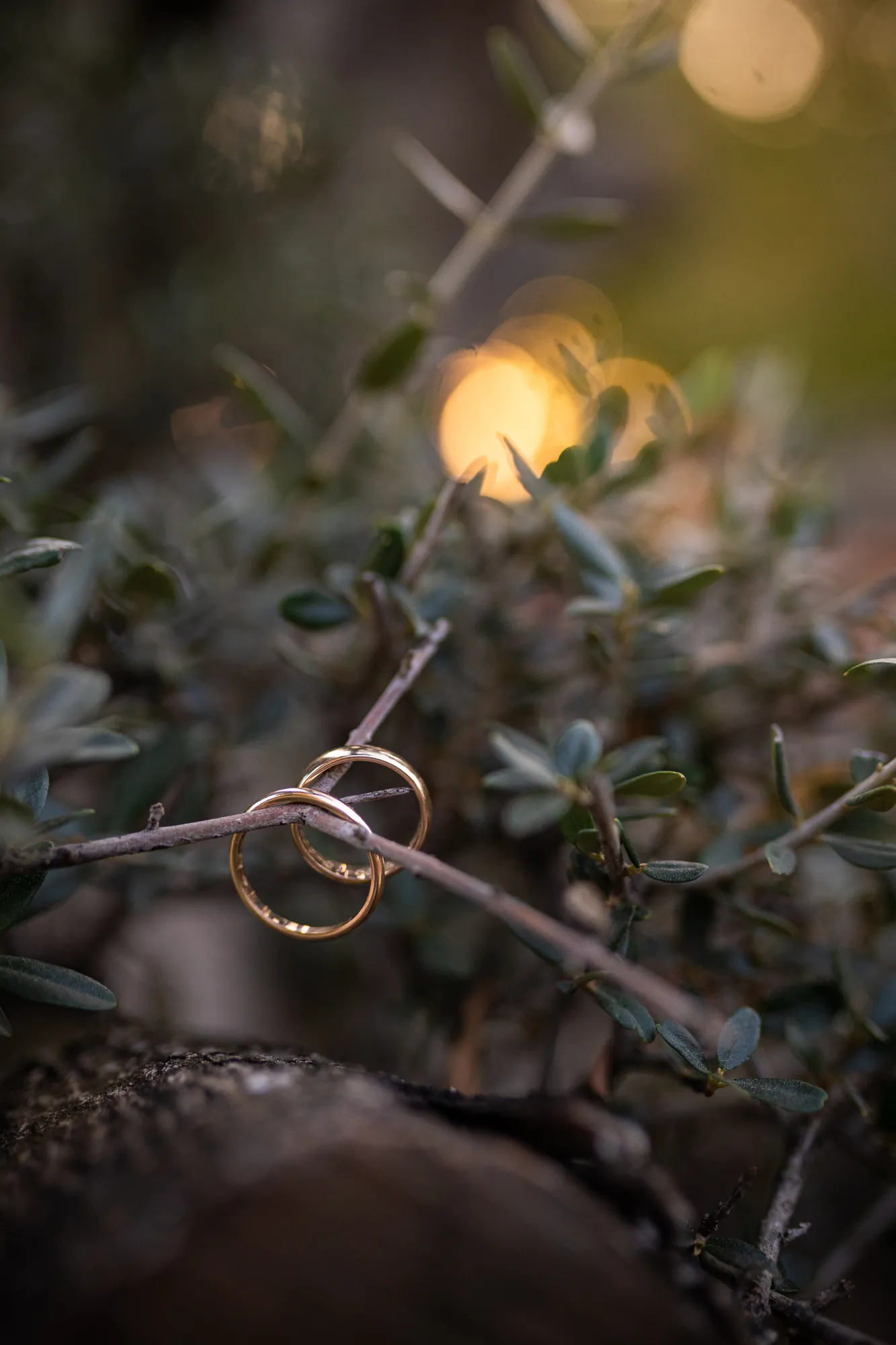 Fotografia di matrimonio